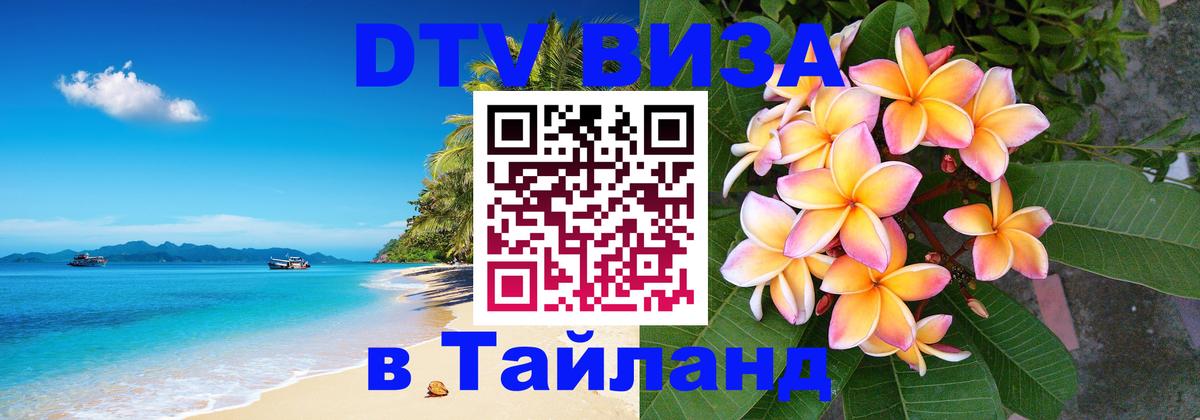 Оформление DTV визы под ключ: стоимость и тарифы, только загранпаспорт - 08.01.2026 